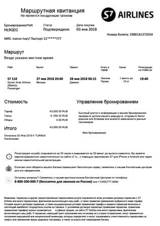 образец билета на самолет